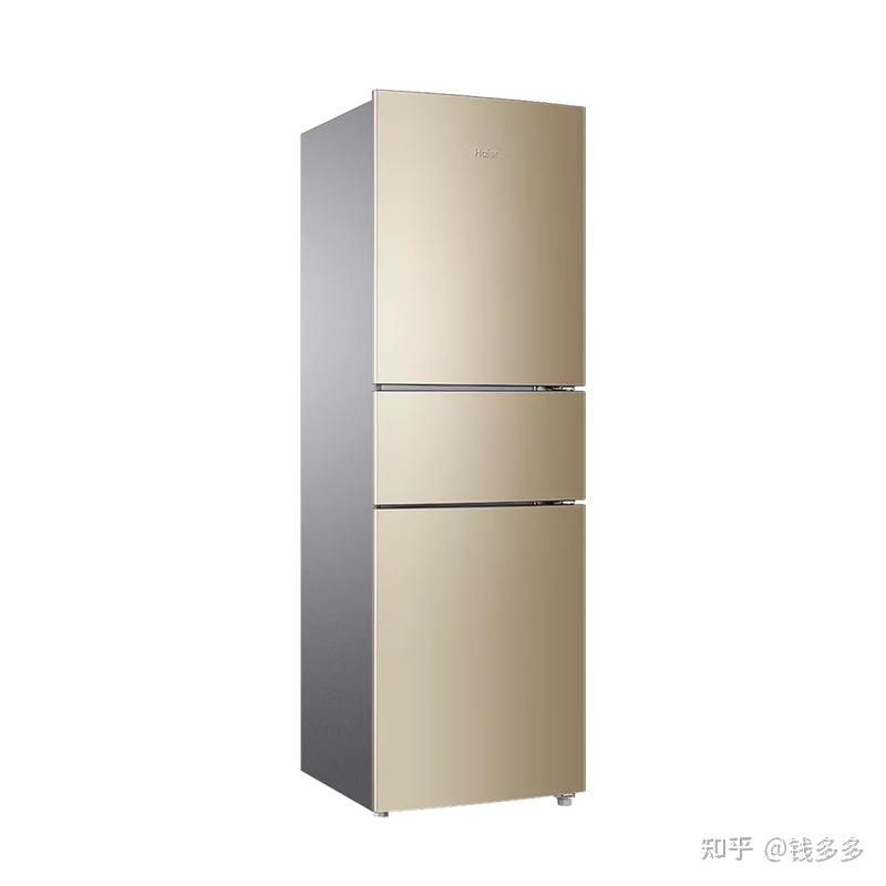 家庭实用冰箱_冰箱日常家庭推荐使用什么_家庭日常使用冰箱推荐