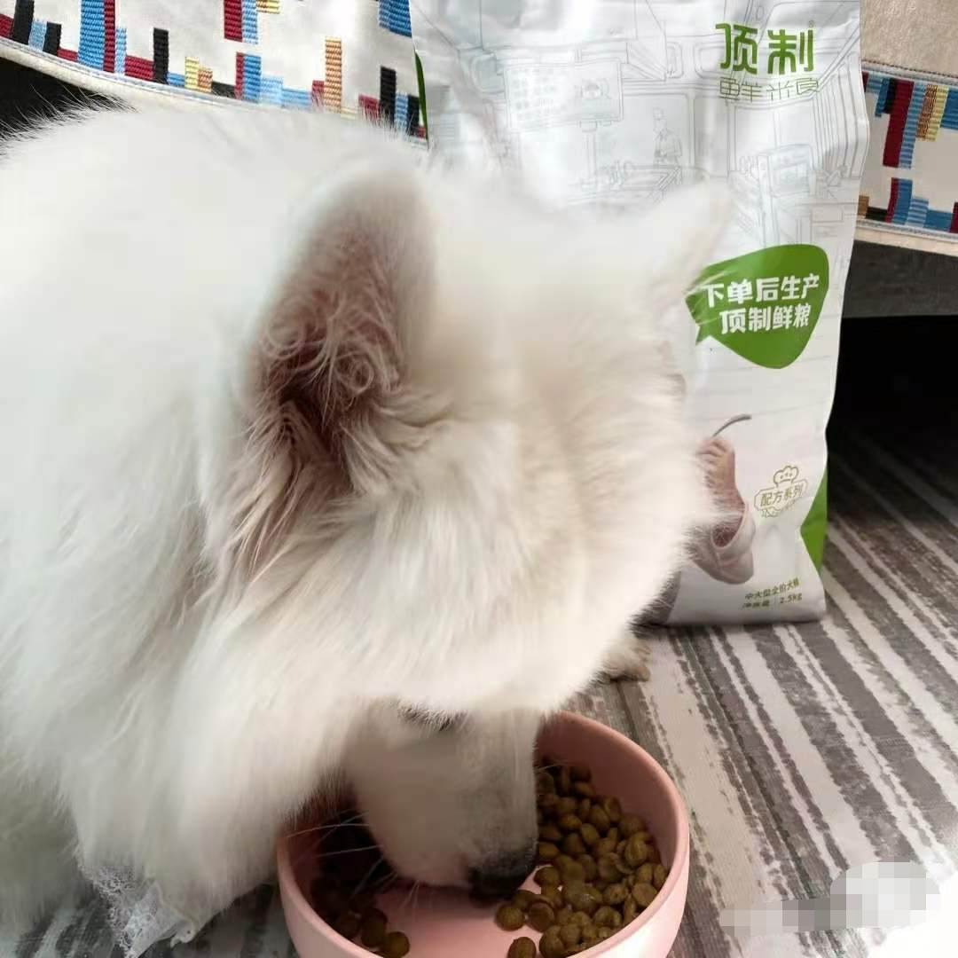 狗营养食谱_狗子营养餐教程_狗子营养餐怎么做